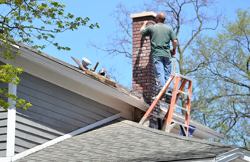 Chimney & Fireplace Inspections Services in Mauldin, SC